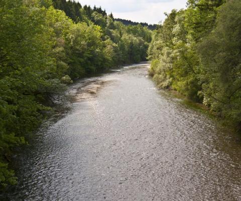 flowing river