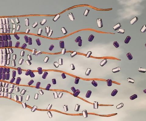 two row wampum belt art